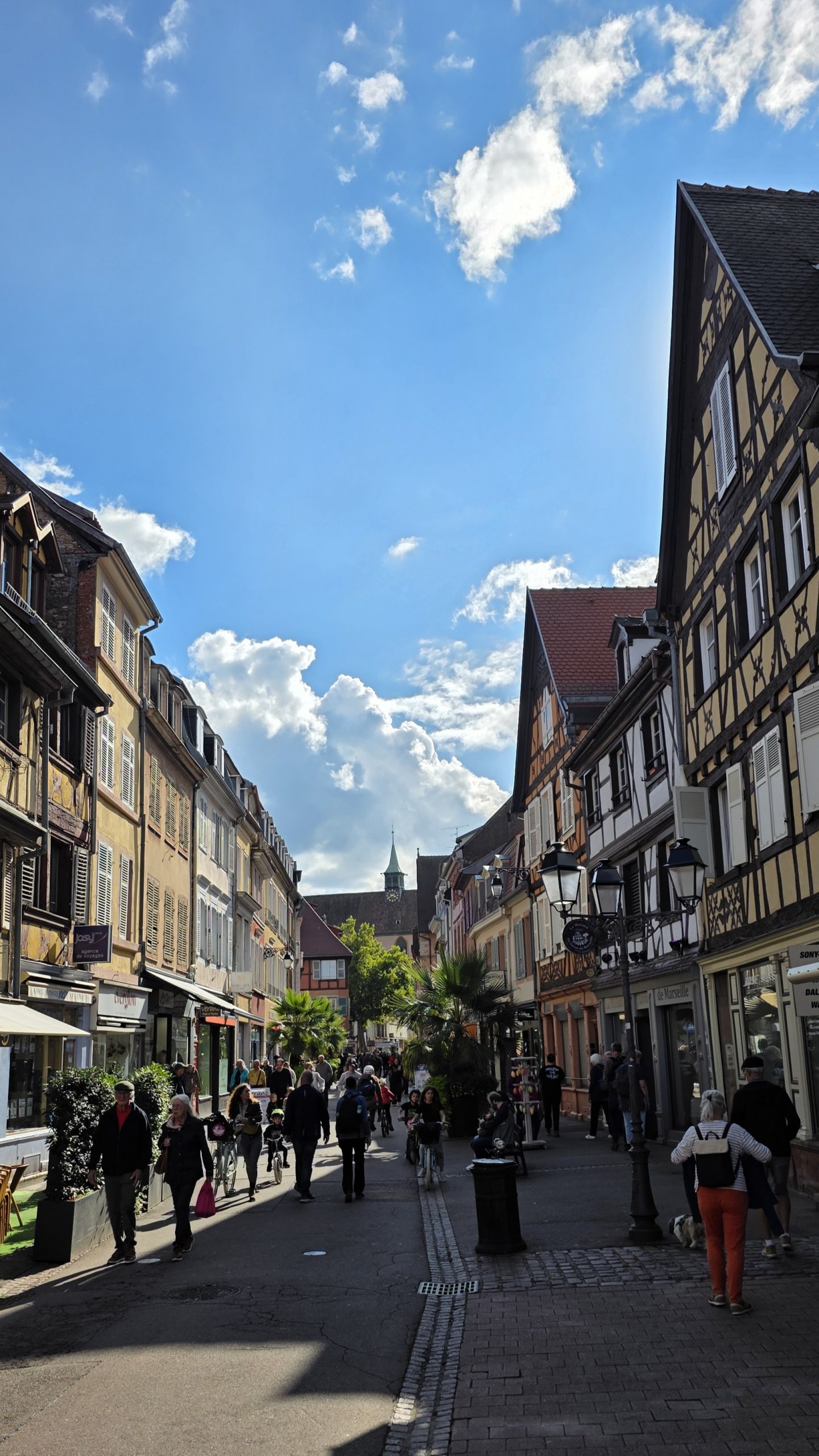 Papierlos nach Colmar